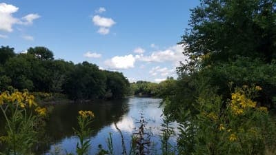 Lowden-Miller State Forest