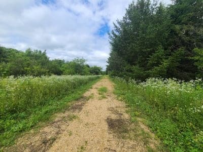 Lowden-Miller State Forest