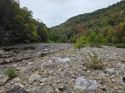 Loyalsock State Forest