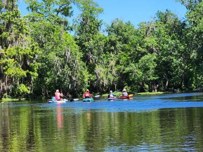 Lower Wekiva River Preserve State Park