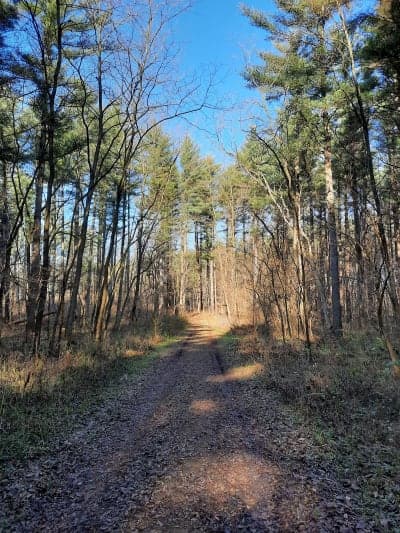 Lowden-Miller State Forest