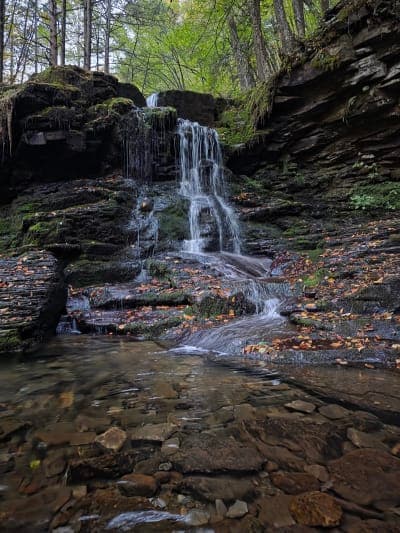 Loyalsock State Forest