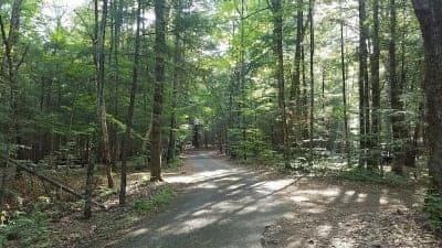 Luzerne Campground & Day Use Area