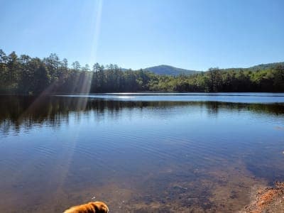 Luzerne Campground & Day Use Area