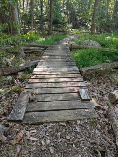 Mahlon Dickerson Reservation