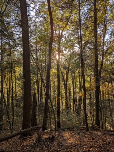 Machimoodus State Park