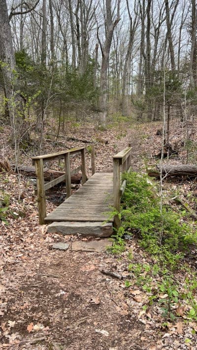 Machimoodus State Park