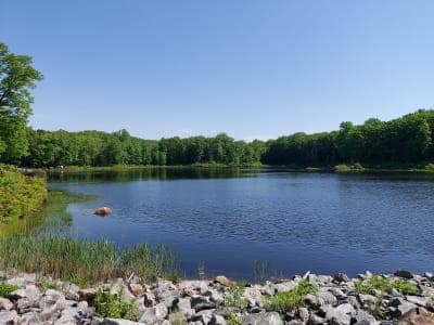 Mahlon Dickerson Reservation