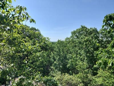Mahlon Dickerson Reservation