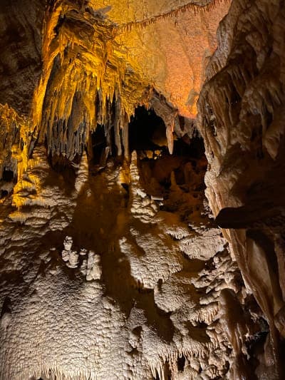 Mammoth Cave National Park