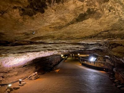 Mammoth Cave National Park