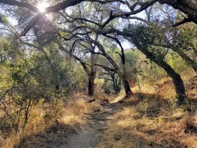 Malibu Creek State Park