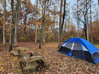 Mammoth Cave National Park – Maple Springs Group Campground