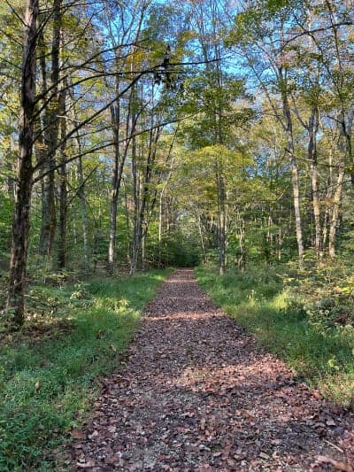 Mammoth Cave National Park – Maple Springs Group Campground