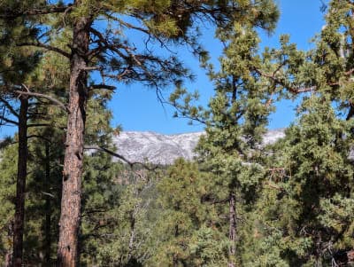 Manzano Mountains State Park