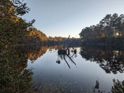 Manchester State Forest
