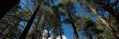 Manzano Mountains State Park