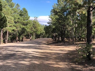 Manzano Mountains State Park
