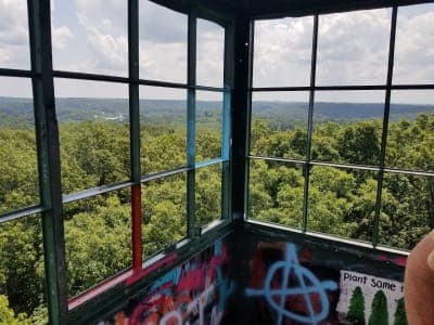 Martin State Forest