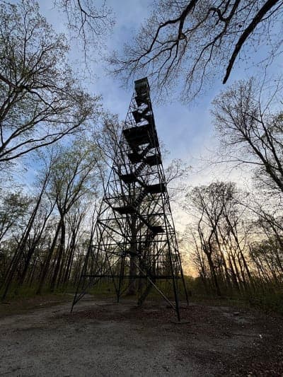 Martin State Forest