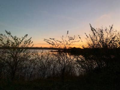 Marina Main Trail