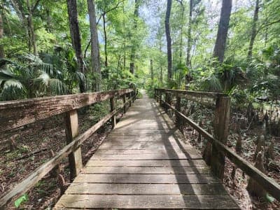 Marjorie Harris Carr Cross Florida Greenway