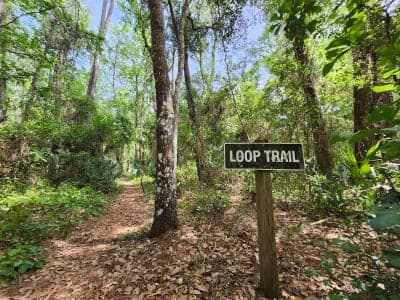 Marjorie Harris Carr Cross Florida Greenway