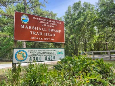 Marjorie Harris Carr Cross Florida Greenway
