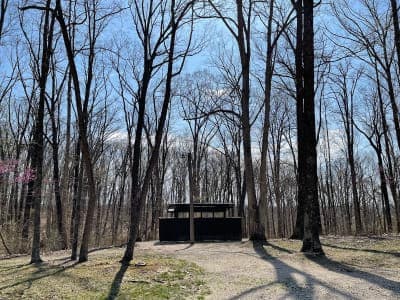 Martin State Forest