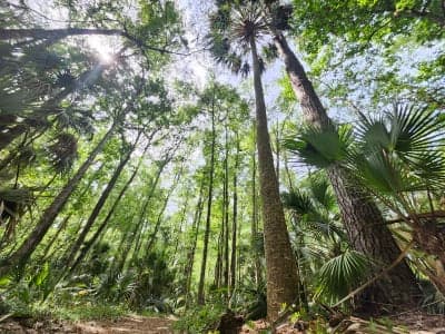 Marjorie Harris Carr Cross Florida Greenway