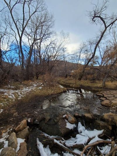 Matthews–Winters Park