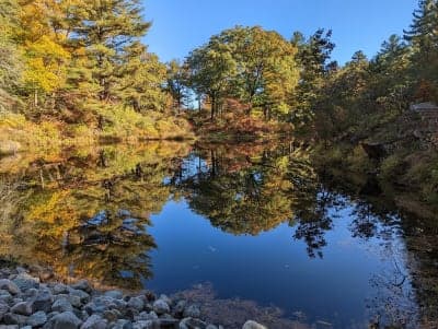 Maudslay State Park
