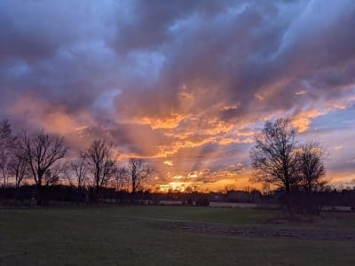 Maumee State Forest