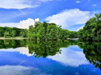 Maybury State Park