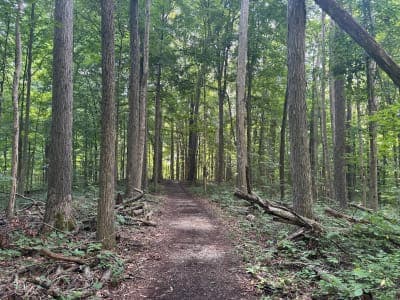 McCormick’s Creek State Park