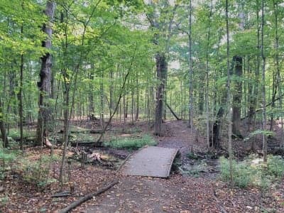 Maybury State Park