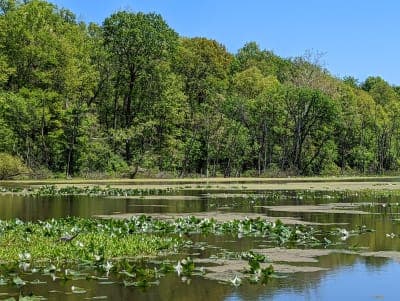 McKee-Beshers Wildlife Management Area
