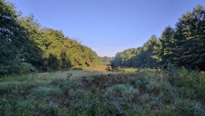McKee-Beshers Wildlife Management Area