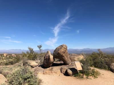 McDowell Mountain Regional Park