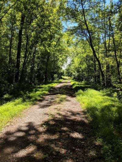 McKee-Beshers Wildlife Management Area