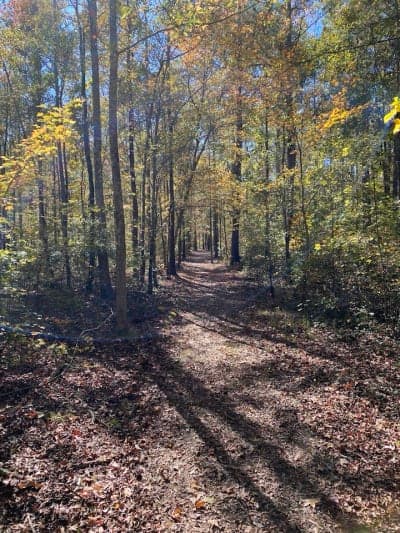 Medoc Mountain State Park