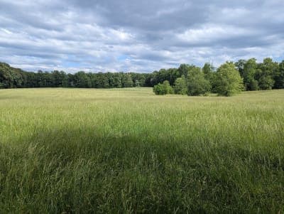 Meadowood Special Recreation Management Area