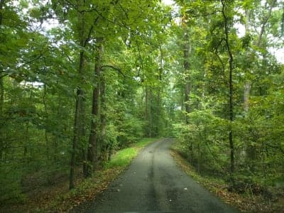 Meeman-Shelby Forest State Park