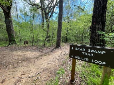 Medoc Mountain State Park