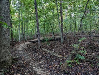 Meadowood Special Recreation Management Area