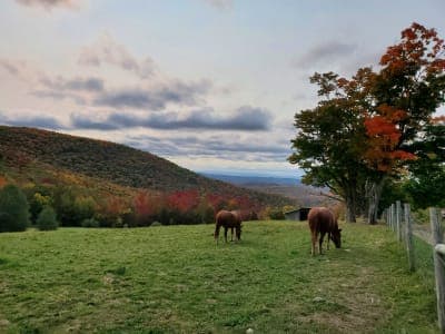 Merck Forest & Farmland Center