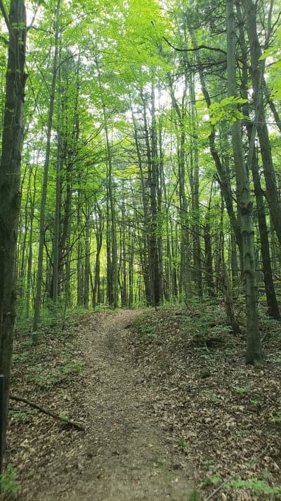Metamora-Hadley Recreation Area