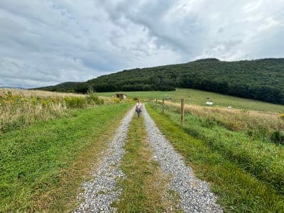 Merck Forest & Farmland Center