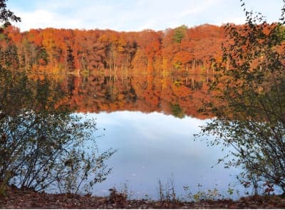Metamora-Hadley Recreation Area