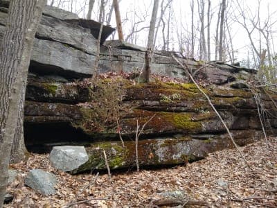 Meshomasic State Forest